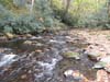DSC02230.jpg
