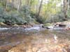 DSC02232.jpg