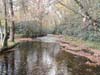 DSC02238.jpg