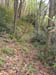 DSC02242.jpg