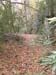 DSC02243.jpg