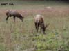 DSC02245.jpg
