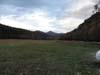 DSC02246.jpg