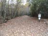 DSC02247.jpg
