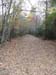 DSC02249.jpg