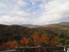 DSC02251.jpg