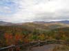 DSC02252.jpg