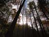 DSC02262.jpg
