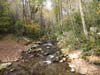 DSC02265.jpg