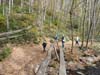 DSC02266.jpg