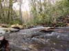 DSC02268.jpg