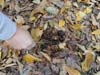 DSC02269.jpg