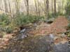 DSC02272.jpg