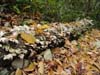 DSC02274.jpg