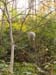 DSC02275.jpg