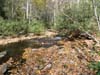 DSC02276.jpg