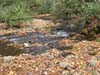DSC02277.jpg