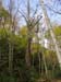 DSC02278.jpg