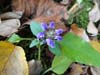 DSC02280.jpg