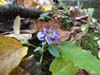DSC02281.jpg