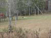 DSC02301.jpg