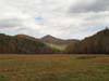 DSC02302.jpg