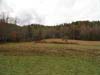 DSC02303.jpg