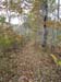 DSC02307.jpg