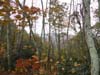 DSC02308.jpg