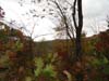 DSC02309.jpg