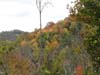 DSC02311.jpg