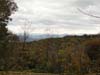 DSC02316.jpg