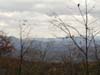 DSC02317.jpg