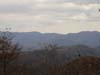 DSC02318.jpg