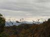 DSC02321.jpg