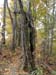 DSC02322.jpg