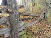 DSC02326.jpg
