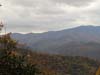 DSC02330.jpg