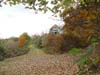 DSC02331.jpg