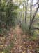 DSC02332.jpg