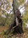 DSC02333.jpg