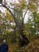 DSC02334.jpg