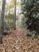 DSC02335.jpg