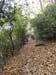 DSC02336.jpg