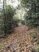 DSC02337.jpg