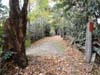 DSC02340.jpg