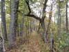 DSC02343.jpg