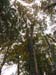 DSC02345.jpg