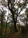DSC02346.jpg