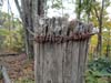 DSC02347.jpg